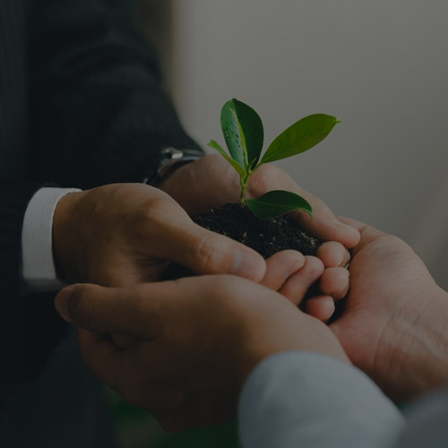 Wave Group - Corporate Social responsibility