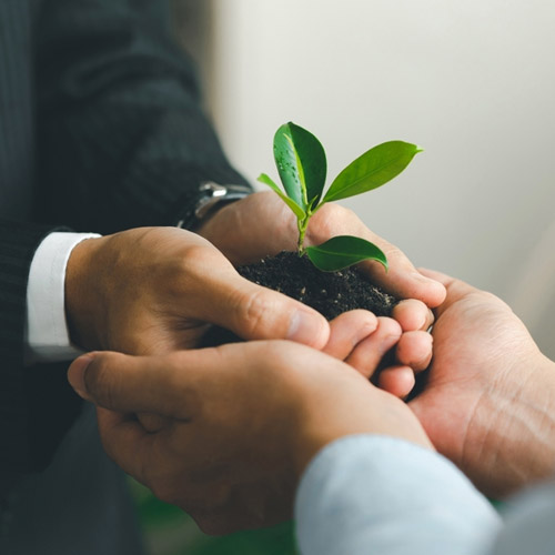 Wave Group - Corporate Social responsibility